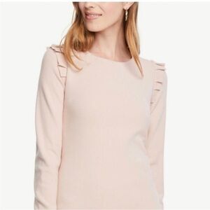 Ann Taylor Ruffle Sleeve Pale Pink Dress Size XL.   NWT